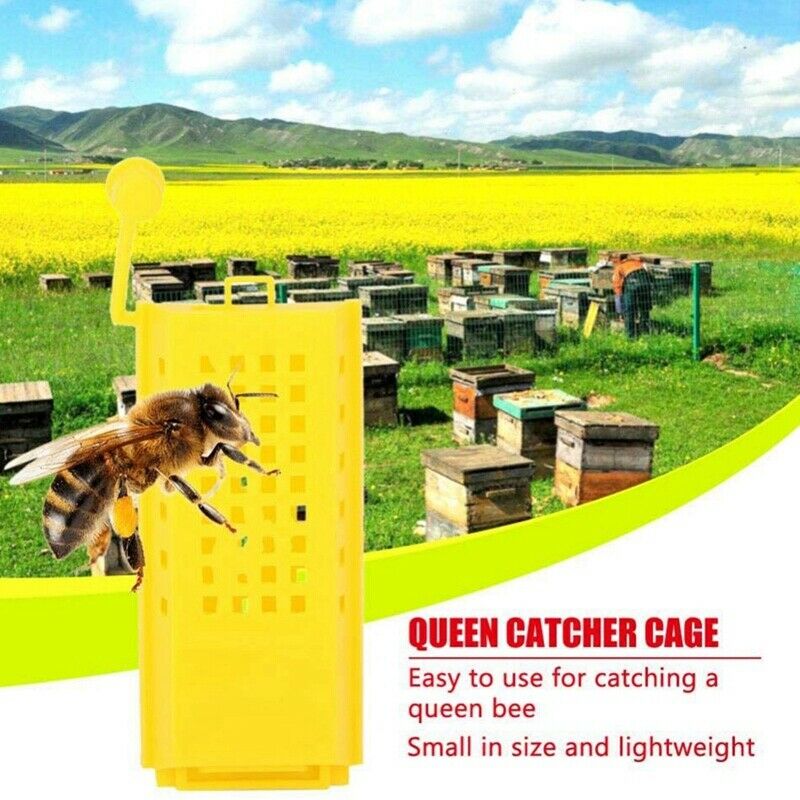 50Pcs Beekeeping Rearing Cup Kit Plastic Bee Queen Cages Roller Transportin