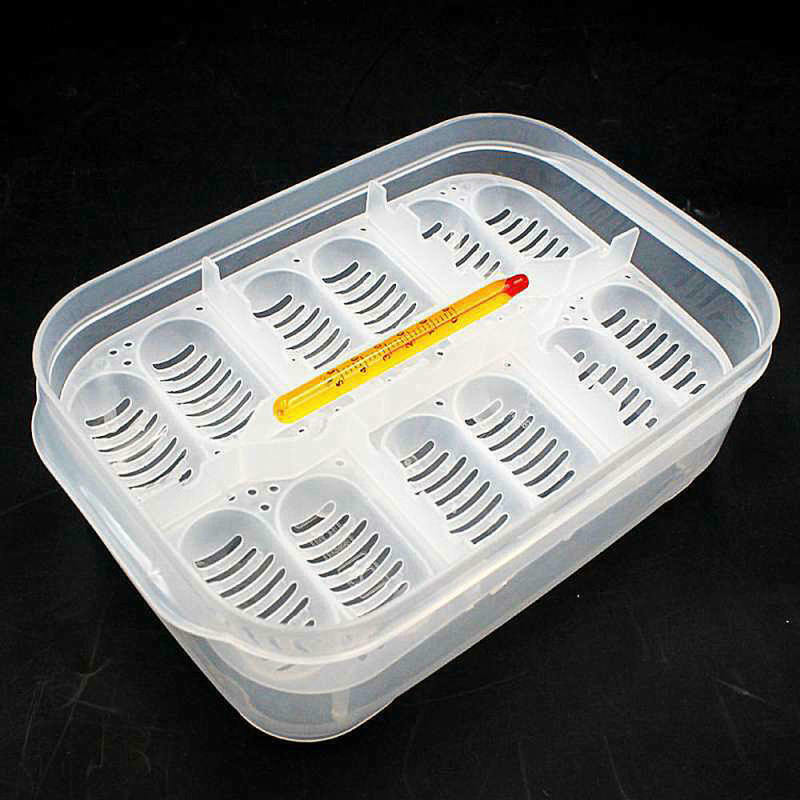 12 Grids snakes Gecko lizards Reptiles eggs hatcher tray Hatcher Brand New asd