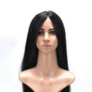 Natural Hair Wig Straight Heat Resistant Synthetic Lace Front Wigs Black Co BX