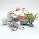 20 Pack Air Plant Stand Container Tillandsia Holder, iron Wire Stand Plant
