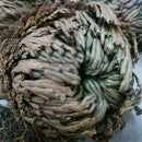 Rose of Jericho Dinosaur Plant Air Fern Spike Moss Live Resurrection House B6K5