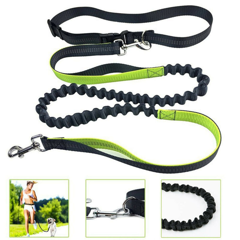Pet Walking Leash Dog Elastic Running Accessories Multifunctional Sports Leading
