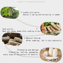 6 Pcs Organic Loofahs Loofah Spa Exfoliating Scrubber Natural LuffaFRB Bj