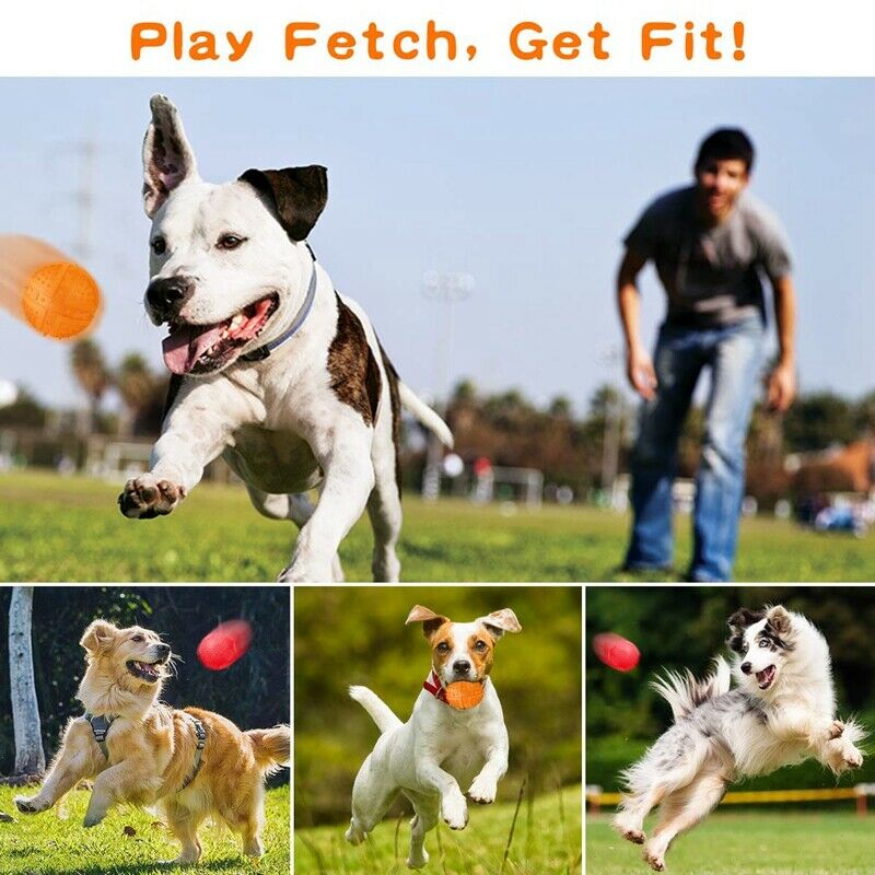 Dog Squeaky Toys Ball - Puppy Chew Toys for Playtime and Teeth Cleaning, In