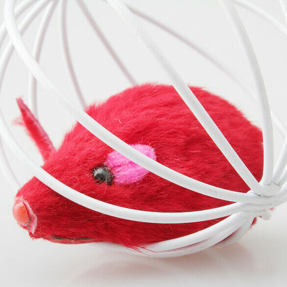 Pet Cat Lovely Kitten Gift Funny Play Toys Mouse Ball Brand New