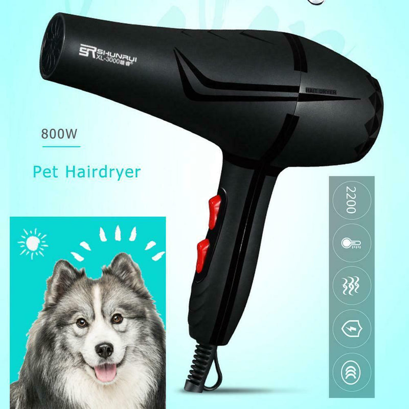 800W 3 Heat Setting 2 Speeds Anion Pet Hairdryer Cold Hot Air Hair Dryer Dry