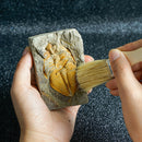 Trilobite Fossils Collection in Box Fossils Millions of Years Old!
