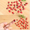 Mini Ladybug Garden Ornaments Scenery Craft Plant Pot Fairy Decor liau