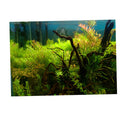 Aquarium Fish Tank Background Poster Grass Landscape Decor 61x30cm