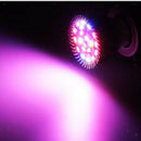2 Pcs E27 8/10W LED Grow Light Growing Lamp Bulb for Flower Plant Fruit