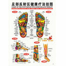 7pcs/set English Acupuncture Meridian Acupressure Points Posters Chart Wall Map