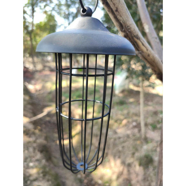 Hanging Wild Bird Feeder Grease Ball Garden Station