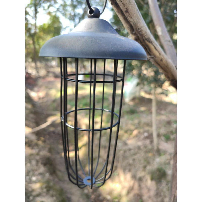 Hanging Wild Bird Feeder Grease Ball Garden Station