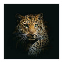 Leopard 5D Diamond Painting Embroidery DIY Craft Needlework Home Decor Gift