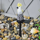 Solar Power LED Parrot Lawn Light Waterproof Garden Landscape Lamp (Yellow)