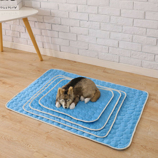 Summer Pet Cooling Ice Mat Cat Dog Sleeping Blanket Cushion (Sky Blue M) A#S