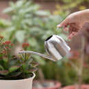 Stainless Steel Watering Kettle Indoor Household Meaty Potted Plants Wateri