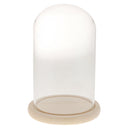 Glass Display Dome Cloche Bell Jar With Wooden Base for DIY Decoration