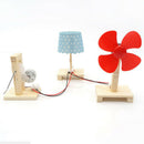 DIY Manual Crank Generator Power Lamp Science Educational Physics Teaching