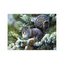 Squirrel DIY 5D Diamond Painting Embroidery Cross Stitch Kit Home Wall Decor