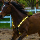 LED Horse Harness Collar Breastplate Reflective Night Riding Horse Bridle Halter