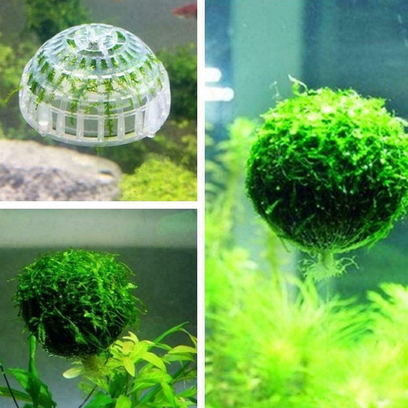 1 x Plastic-Aquarium-Moss Ball Decor For Live Plant Decoration Aquatic Fish G6U6
