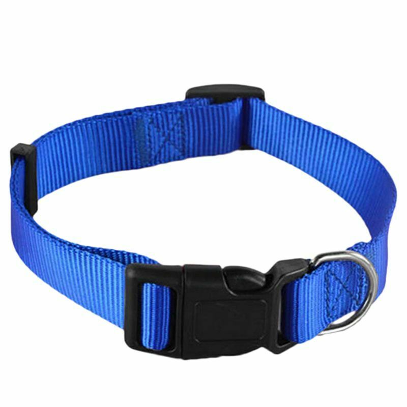 Adjustable Nylon Dog Puppy Collar with Buckle and Clip for Lead (M, Blue)