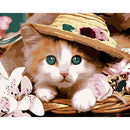 DIY Digital Oil Painting By Numbers Animal Drawing Picture Modern Wall Art A