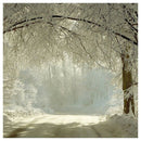 7 x 5ft Winter Backdrops Photography Snow Freeze Forest Background for Stud W2G6