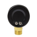 Dual Scale Economical All Purpose Pressure Gauge & Brass Internals 0-220 PSI/KPa