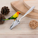 5pcs Small Bird Parrot Stainless Steel Feeding Spoon Special Feeding Scoop xcv
