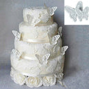 2Pcs/Set Butterfly Cake Fondant Sugarcraft Mould Cookie Plunger Cutter Mold Tool
