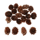 20pcs Pine Cones Party Decor Living Room Ornament Festival Favors