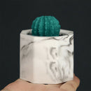 Concrete Molds Silicone Cactus Flower Pot Mold Ceramic Clay Craft Cup Mould  Z