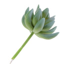 Artificial Cactus Plants Unpotted Plastic Succulent Cactus Home Plant