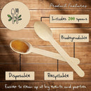 200 disposable wooden tea spoons - tasting spoons, dessert tasting, dinner, D9G3