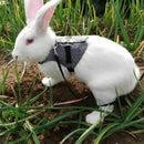 Multipurpose Rabbit Harness Small Pet Leash Chinchillas Guinea Pig Vest Clo