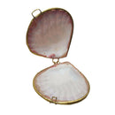 Seashell Trinket Box Holder Organizer Display Jewelry