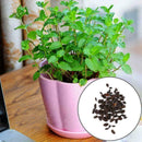 50 Pcs Mint AU HOT F4V5