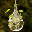 Water Drop Hanging Glass Flowers Planter Vase Terrarium Container Home Decor