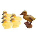 6Pcs Little Duck Ducking Floating Decoy  Fishing Decoy Pools Ponds Decor