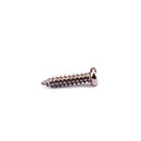 200pcs Machine Heads Mounting Screws 11x2.2mm for Guitar Bass Mandolin Accessory