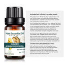 Ginger Fast Hair Growth Essence Essential Oil Anti-Hair Loss Fluid Hair Care