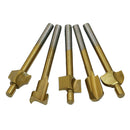 10 Pieces of Wood Carving Nit Rasps Bit  Graver Tool Set  Kit