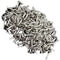 100pcs Guitar Pickguard Screws For Fender Strat/Tele Electric Guitar Bass s