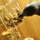 Parrot Bird Cage Feeder Hang Foraging Toys Pet Treat Hunt Macaw Cockatoo