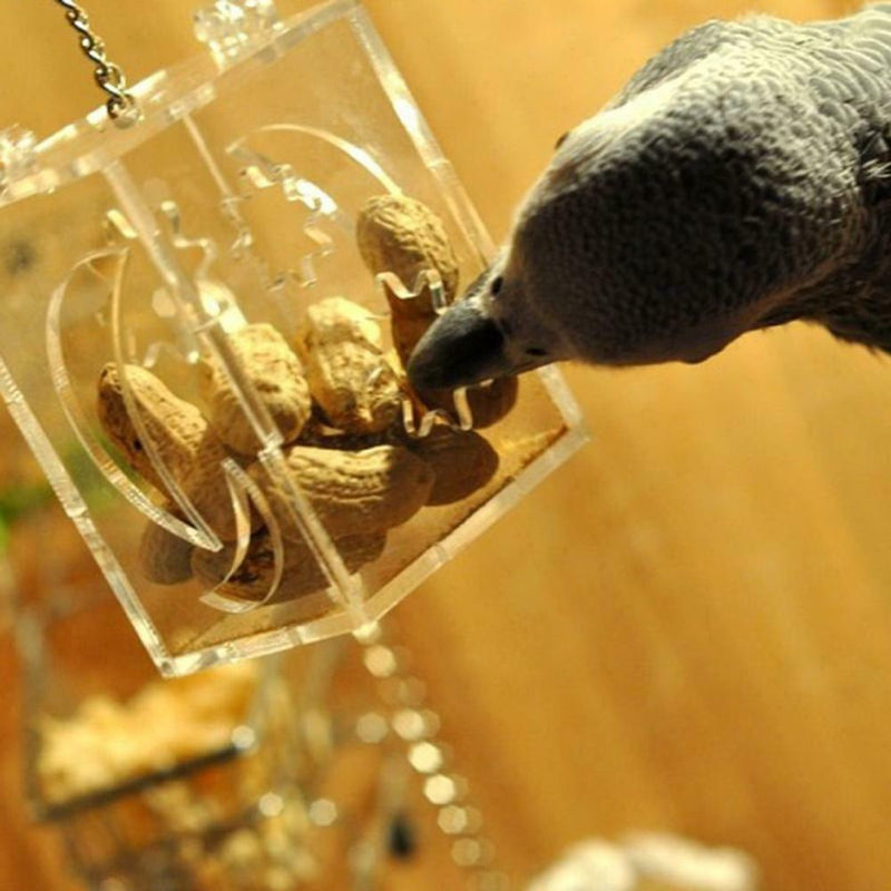 Parrot Bird Cage Feeder Hang Foraging Toys Pet Treat Hunt Macaw Cockatoo