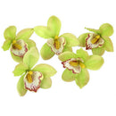 20 pcs Simulation Flower Great Cymbidium Flower Head (Green)