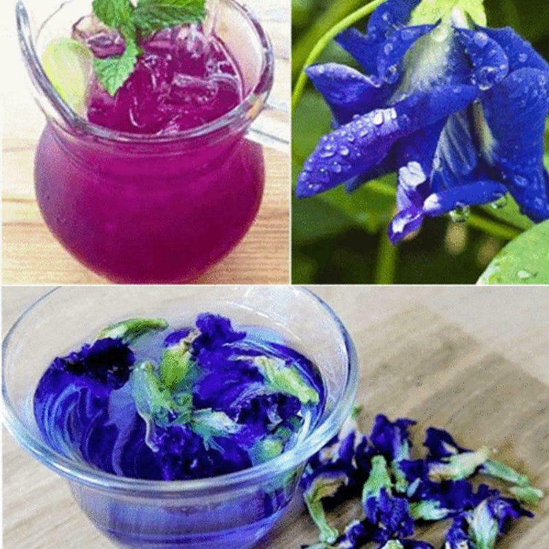 100% Thai Dried Butterfly Pea Flower Pure Organic-Natural Herbal Blue-Drink-