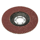 115mm/4.5'' Flap Wheels Grinding Sanding Discs 60 Grit Angle Grinder TOP M&E